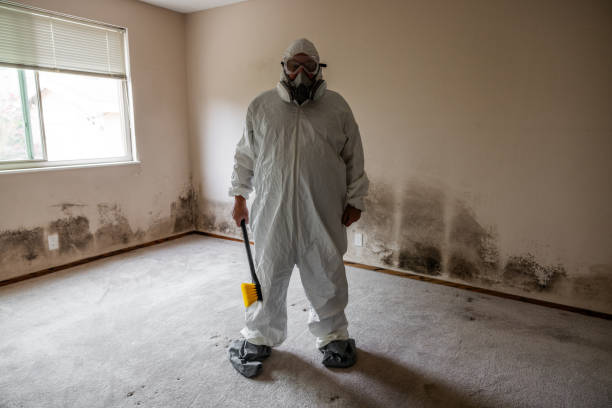 Mold Removal and Inspection in Roanoke, AL